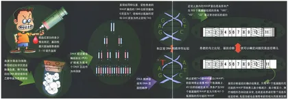 基因诊断：一个孩子的幸与不幸