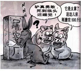 生活圆桌(143)