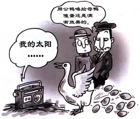 生活圆桌(137)1