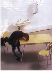 马里佐尔的飞翔游戏1