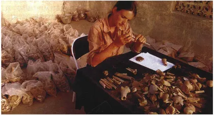 埋在沙漠底下的撒巴传说 　　1