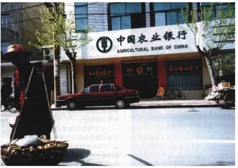 张君分析4
