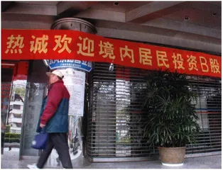 风险B股7