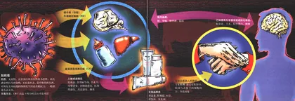 疯牛·马·口红 　