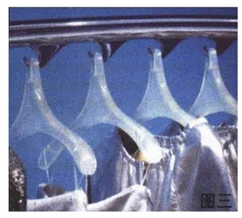 报道：恋爱中的高级时装店