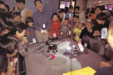 让我们玩点儿什么？