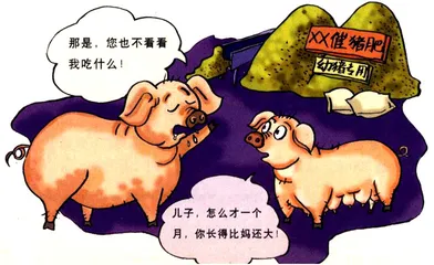 从饲养场到餐桌1