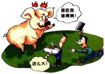 从饲养场到餐桌3
