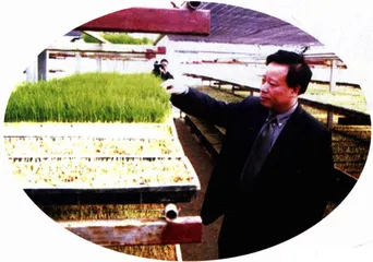 黑道白道彼此都需要对方1