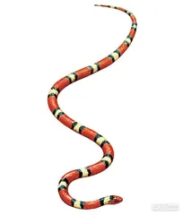 好消息·坏消息（606）1