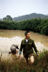 ​一块“模范地”后的城乡关系