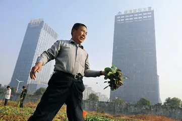 ​物价是怎么“胀”起来的