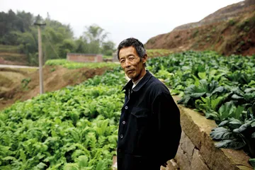​一块“模范地”后的城乡关系1