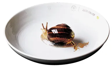 好东西(607)15