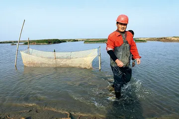 ​鄱阳湖候鸟捕杀调查2