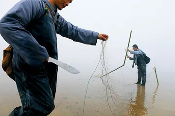 ​鄱阳湖候鸟捕杀调查3