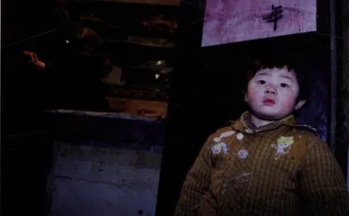 “血头经济”：公共安全的当然之敌