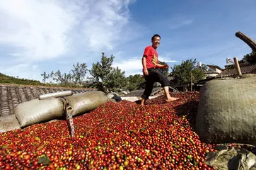 ​被咖啡改变的村庄2