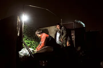 ​蔬菜涨价的动力2