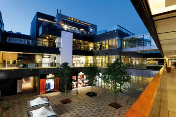 ​2009 社会秩序重构