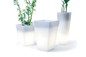 好东西(596)9