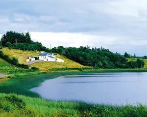 绿色的住宅4
