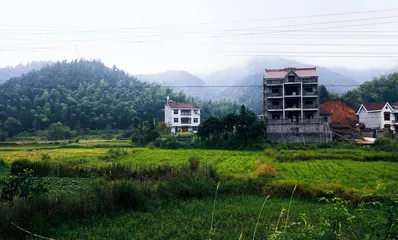 宜黄事件：政府角色和钟家姐妹的生活现场7