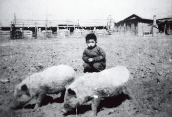 ​我笑他人看不穿3
