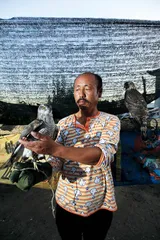 猎鹰村庄：远古乐趣现代版