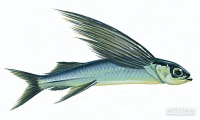 好消息·坏消息（596）3