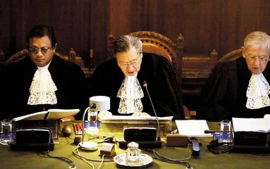 当选国际法官，国家支持最重要