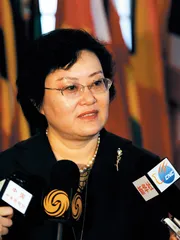 当选国际法官，国家支持最重要2