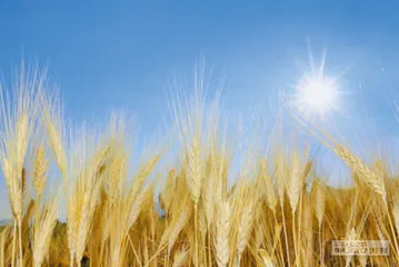 好消息·坏消息（594）1