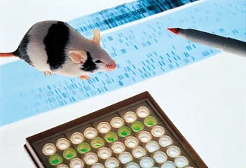 转基因动物的时代就要到了