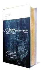 新资本主义的文化2