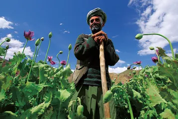 塔利班——前途未卜的圣战者4