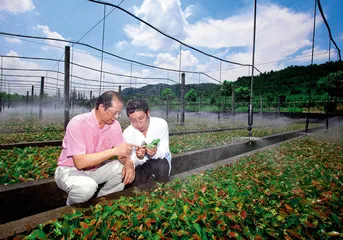 一个蓝莓基地的南方样本1