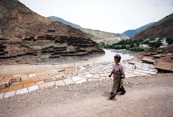 盐是神物