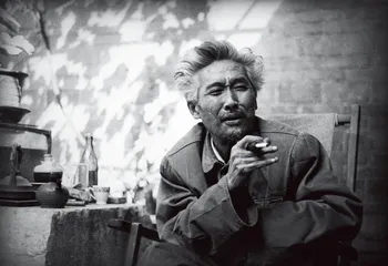 变革中的石鲁
