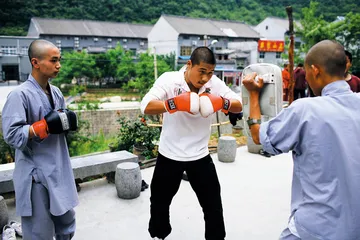 少林寺现代生存演进史2