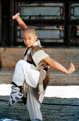 少林寺现代生存演进史4
