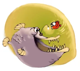 蹉魉的滋味