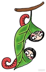 消费·理财（585）4