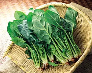 菠菜铁含量小数点事件