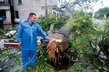 重庆风暴，脆弱的乡村1