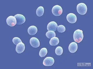 好消息·坏消息（576）3