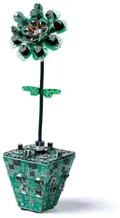 天下(573)3
