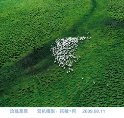 ​鄂尔多斯：财富背后的逻辑1