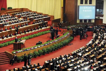 “选举制度形式平等与实质平等的有机结合” ——专访中国社会科学院法学研究所研究员莫纪宏