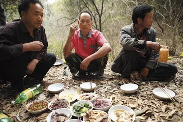 西南大旱：农业县弥勒的两难1